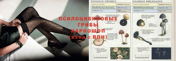 дживик Лихославль