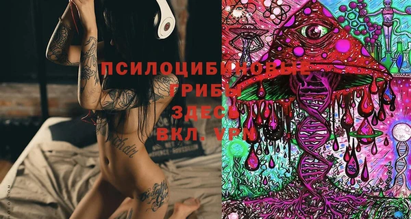 винт Лиски