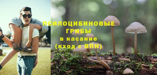 экстази Липки