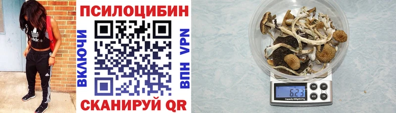 Псилоцибиновые грибы ЛСД Купить где Коряжма